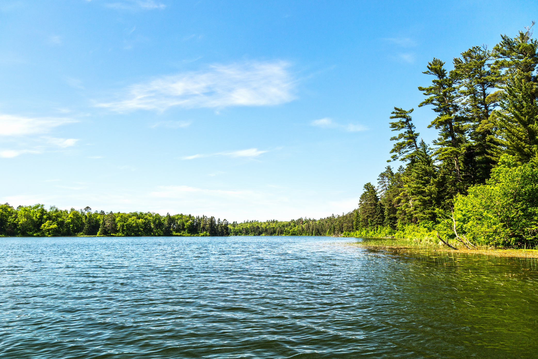 Lake Itasca - Minnesota